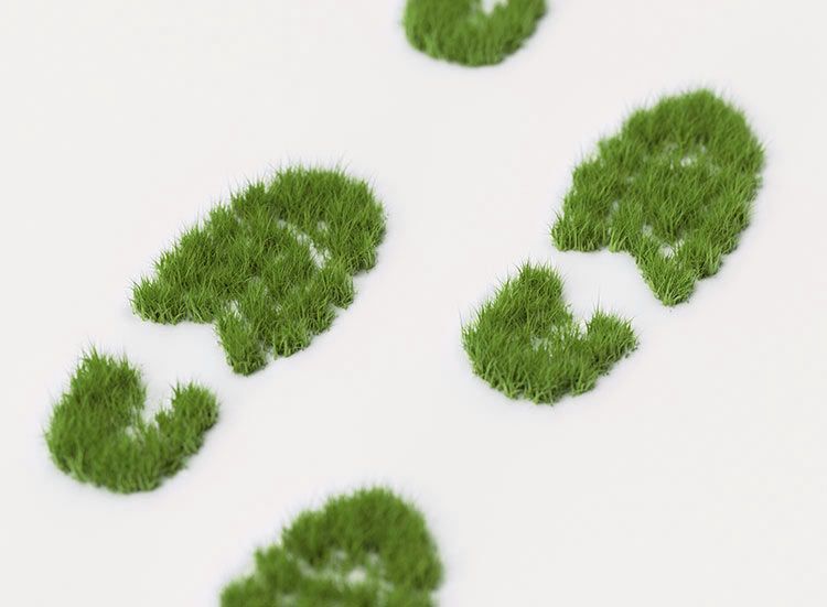 Footprints with grass in them